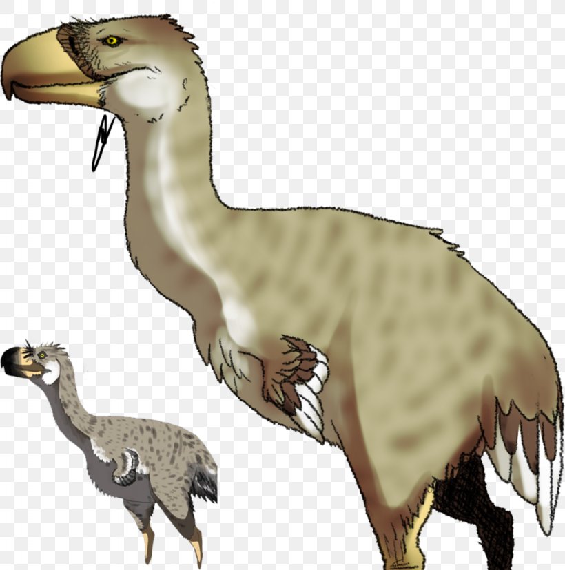 Velociraptor Flightless Bird Phorusrhacidae Tyrannosaurus, PNG, 1024x1035px, Velociraptor, Animal, Animal Figure, Art, Beak Download Free