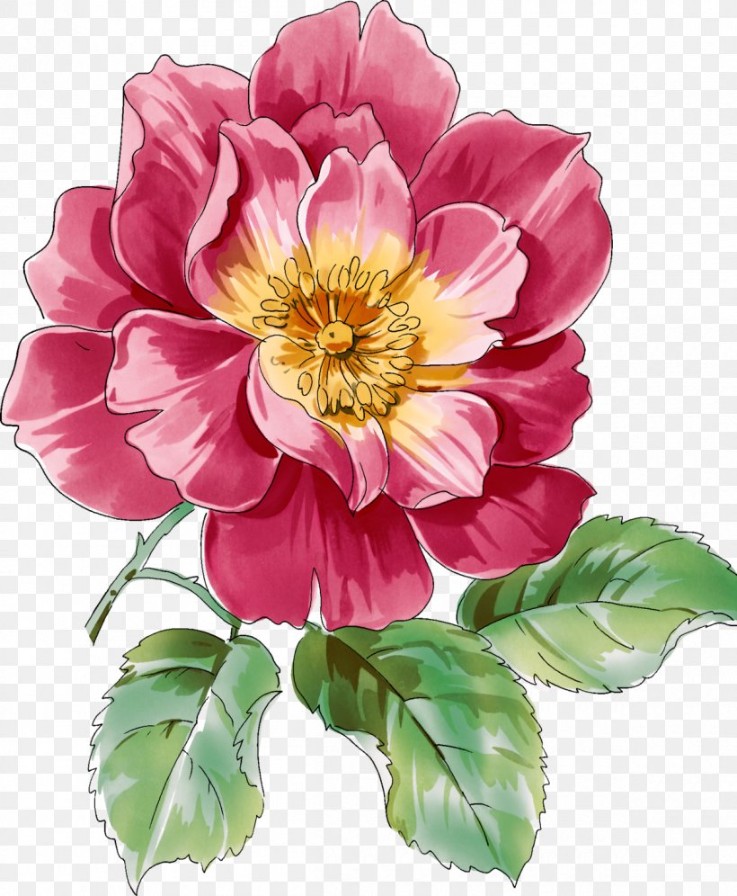Flower Best Roses Watercolor Painting, PNG, 1200x1458px, Flower, Annual Plant, Best Roses, Cut Flowers, Dahlia Download Free