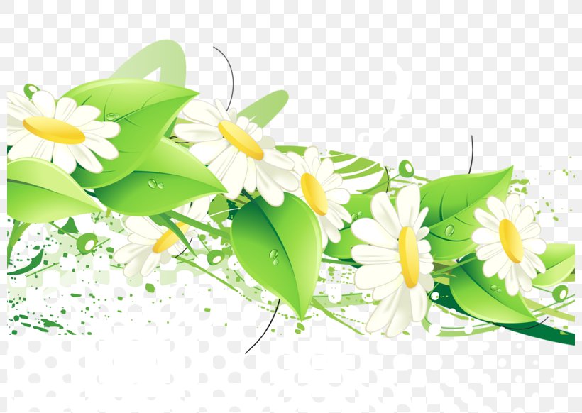 Flower Green Clip Art, PNG, 800x582px, Flower, Bluegreen, Color, Cut Flowers, Daisy Download Free