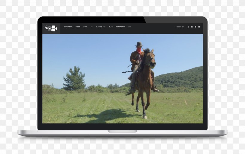 Mataró Horse Advertising Video Graphic Design, PNG, 2550x1604px, Mataro, Advertising, Corporate Image, Grass, Horse Download Free