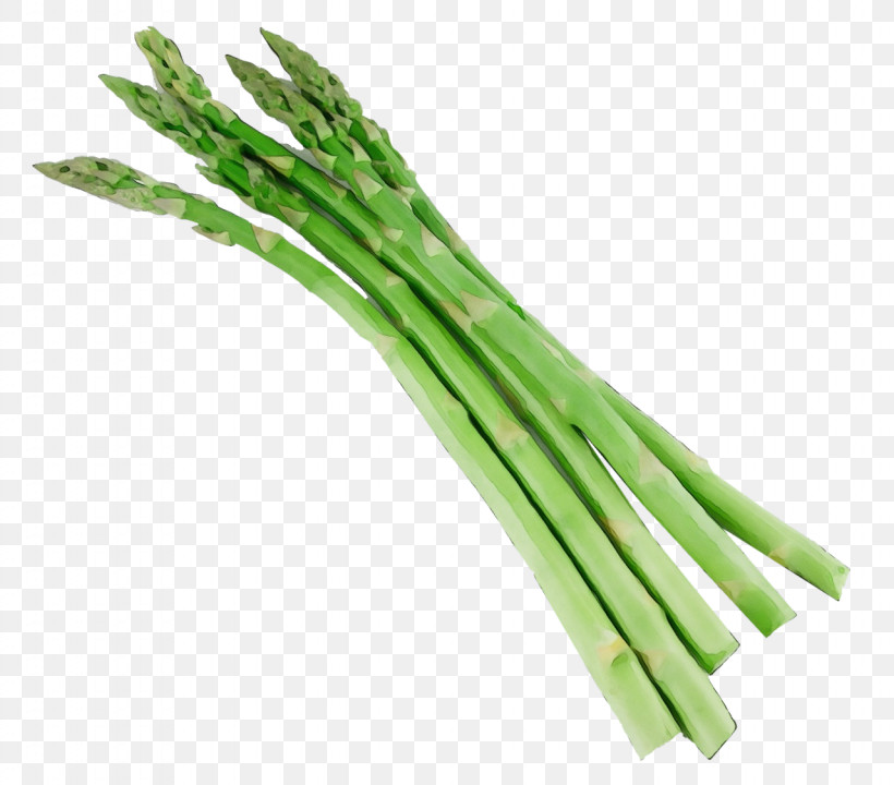 Vegetable Welsh Onion Leek Plant Scallion, PNG, 1280x1125px, Watercolor, Allium, Asparagus, Chinese Celery, Chives Download Free
