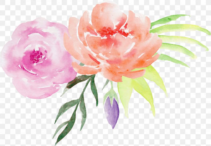 Centifolia Roses Flower Watercolor Painting Pink, PNG, 1928x1332px, Centifolia Roses, Cut Flowers, Floral Design, Floristry, Flower Download Free