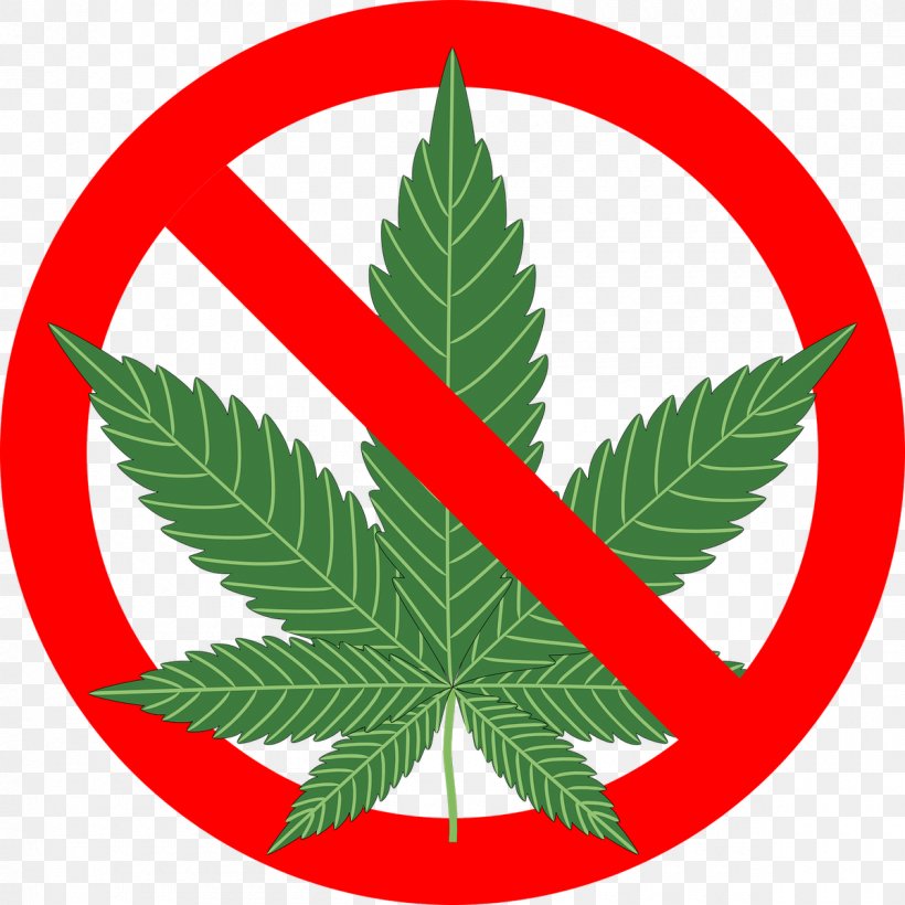 Legality Of Cannabis Recreational Drug Use Cannabis Smoking, PNG, 1200x1200px, Cannabis, Addiction, Cannabidiol, Cannabis Consumption, Cannabis Drug Testing Download Free