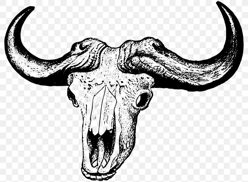 Skull Clip Art, PNG, 800x604px, Skull, Art, Black And White, Bone, Cattle Like Mammal Download Free