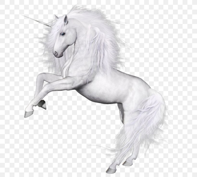 Unicorn, PNG, 700x739px, Unicorn, Black And White, Drawing, Fictional Character, Fur Download Free