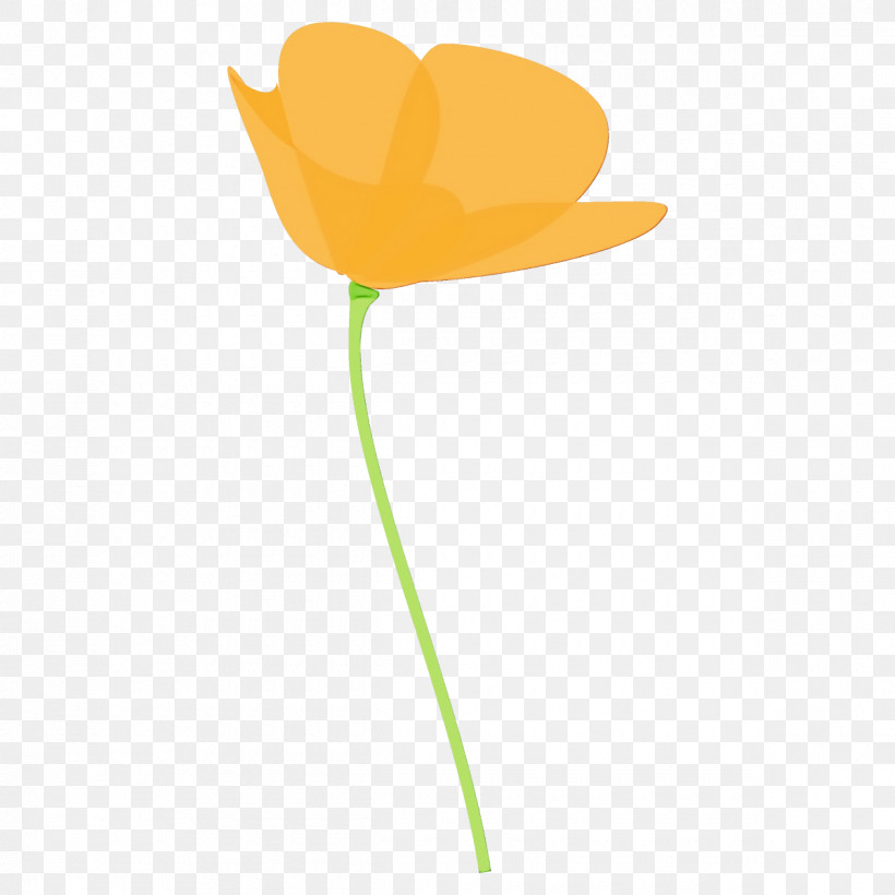 Yellow Flower Leaf Plant Tulip, PNG, 1200x1200px, Poppy Flower, Flower, Leaf, Paint, Pedicel Download Free