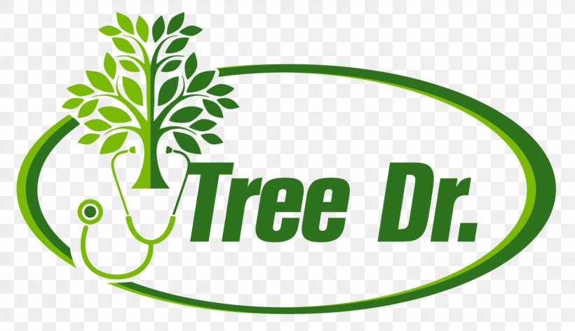 Tree Emerald Ash Borer Beetle New Jersey, PNG, 1500x867px, Tree, Area, Ash, Beetle, Bergen Download Free