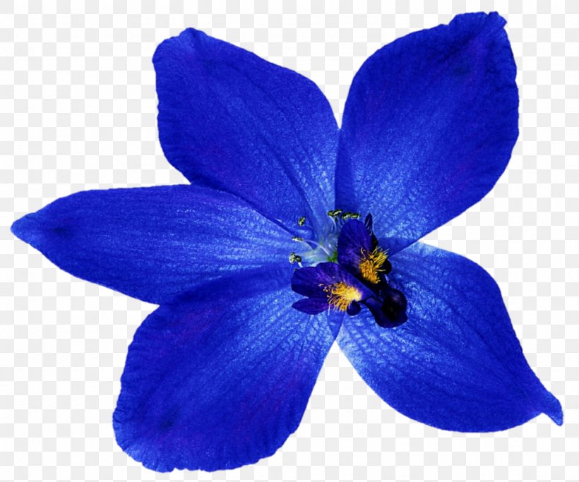 Blue Flower Orchids Clip Art, PNG, 1024x853px, Blue, Art, Blue Rose, Cobalt Blue, Delphinium Download Free