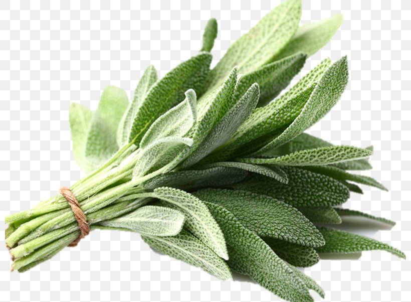 Common Sage Organic Food Herb Vegetable Summer Savory, PNG, 800x602px, Common Sage, Food, Grass, Grocery Store, Health Download Free