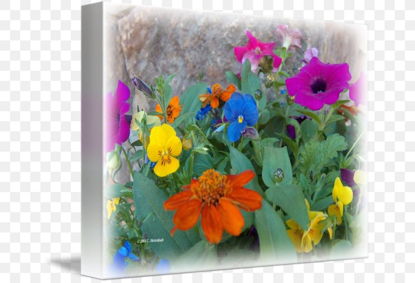 Floral Design Cut Flowers Flower Bouquet Flowerpot, PNG, 650x560px, Floral Design, Annual Plant, Cut Flowers, Family, Floristry Download Free
