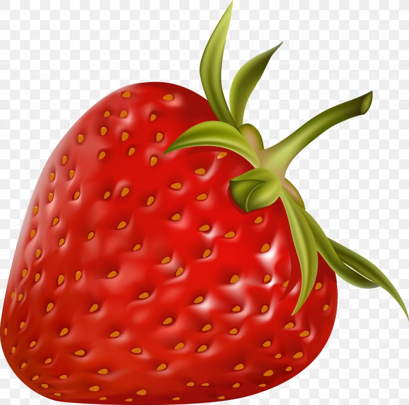 Juice Smoothie Strawberry Clip Art, PNG, 1463x1452px, Juice, Accessory Fruit, Berry, Blueberry, Drawing Download Free