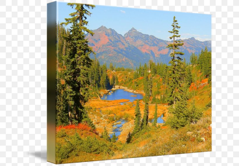 Mount Scenery National Park Landscape Painting Larch, PNG, 650x570px, Mount Scenery, Autumn, Biome, Ecosystem, Landscape Download Free