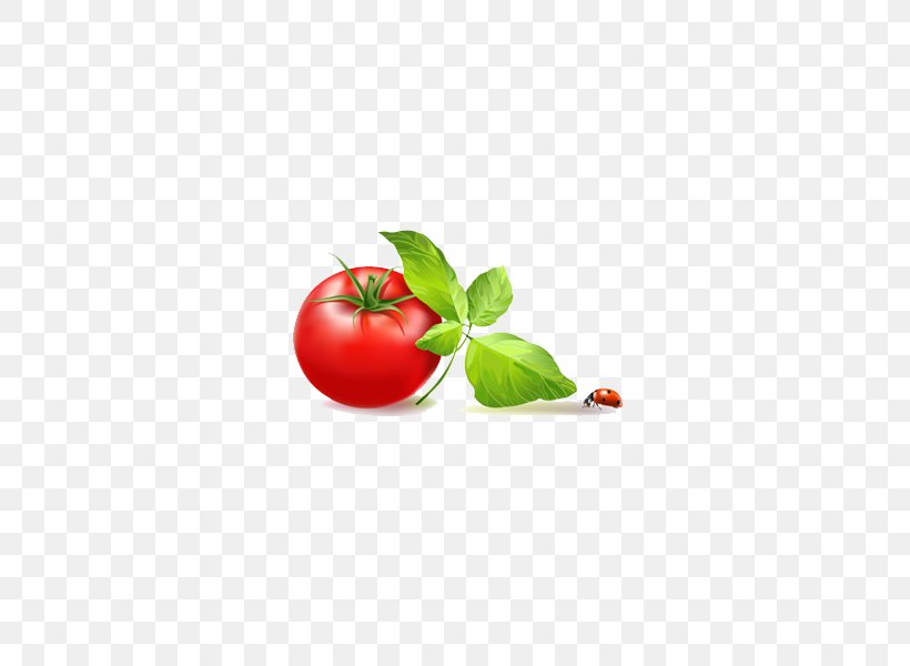 Tomato Le Relais Saint Clair Vegetable, PNG, 600x600px, Tomato, Cherry, Eggplant, Food, Fruit Download Free