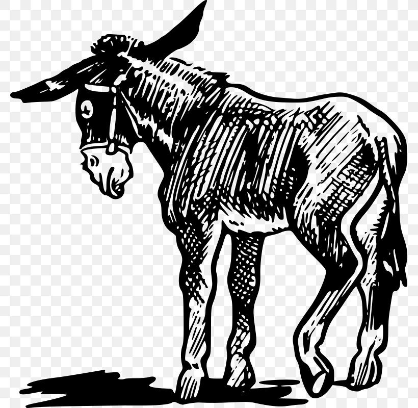 Donkey Clip Art, PNG, 779x800px, Donkey, Art, Black And White, Cattle Like Mammal, Drawing Download Free