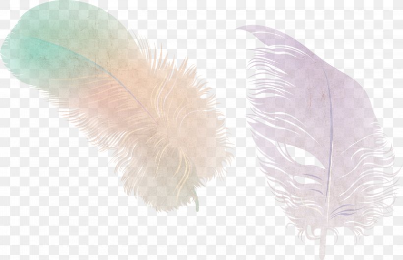 Feather Clip Art Image Pen, PNG, 4150x2683px, Feather, Color, Costume Accessory, Fashion Accessory, Fur Download Free