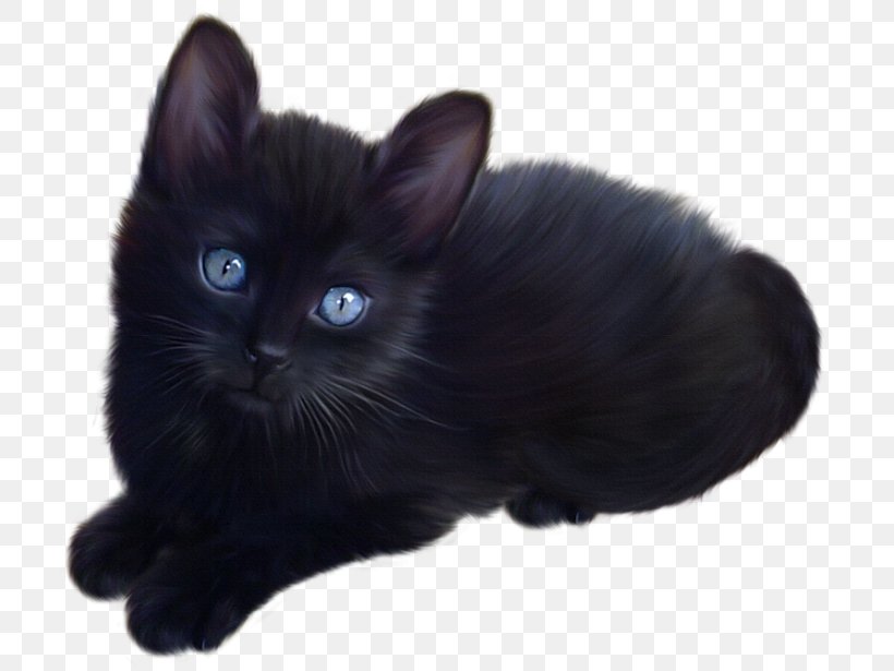 Kitten Siamese Cat Black Cat Clip Art, PNG, 735x615px, Kitten, Asian Semi Longhair, Black, Black Cat, Bombay Download Free