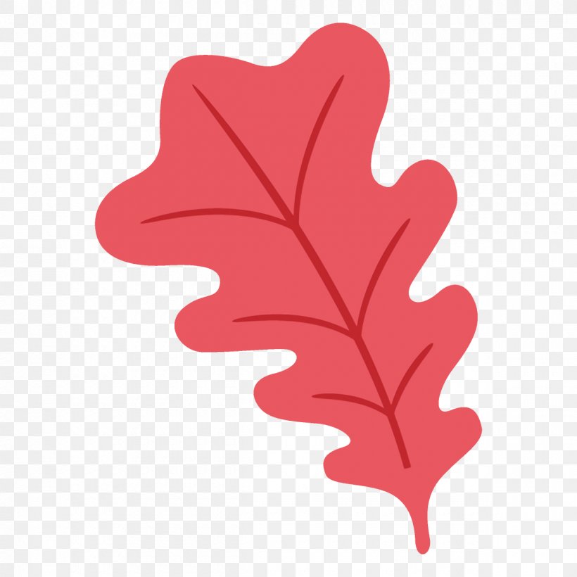Leaf Red Tree Plant Woody Plant, PNG, 1200x1200px, Leaf, Flower, Heart, Plant, Red Download Free