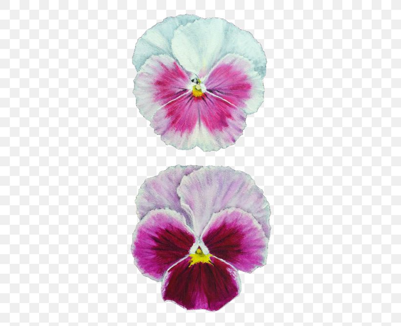 Pansy Watercolor Painting Drawing Art, PNG, 500x667px, Pansy, Acrylic Paint, Art, Artist, Drawing Download Free