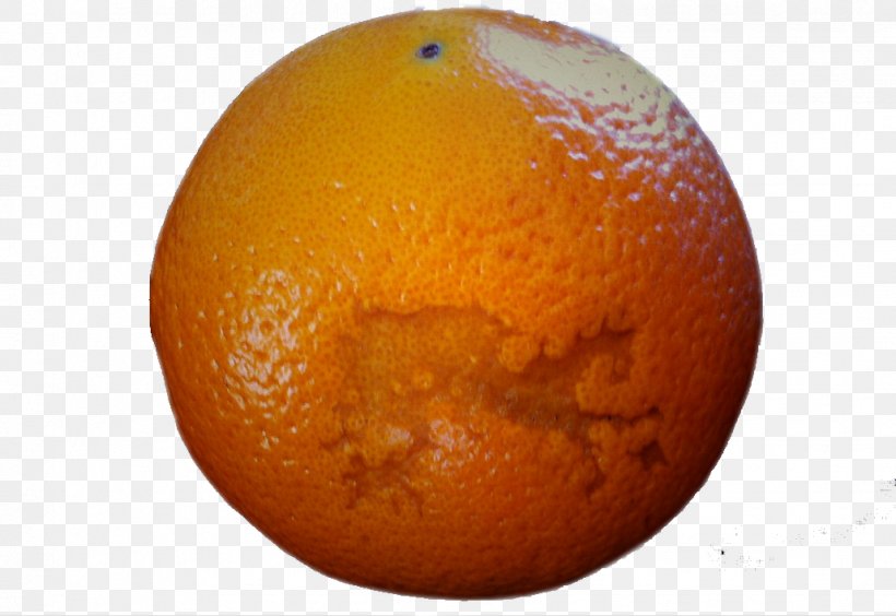 Clementine Orange Tangerine Scar, PNG, 1029x708px, Orange Juice, Bitter Orange, Blood Orange, Citrus, Clementine Download Free