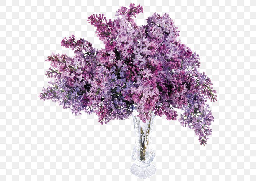 Common Lilac Flower Clip Art, PNG, 600x580px, Common Lilac, Artificial Flower, Blossom, Branch, Cut Flowers Download Free