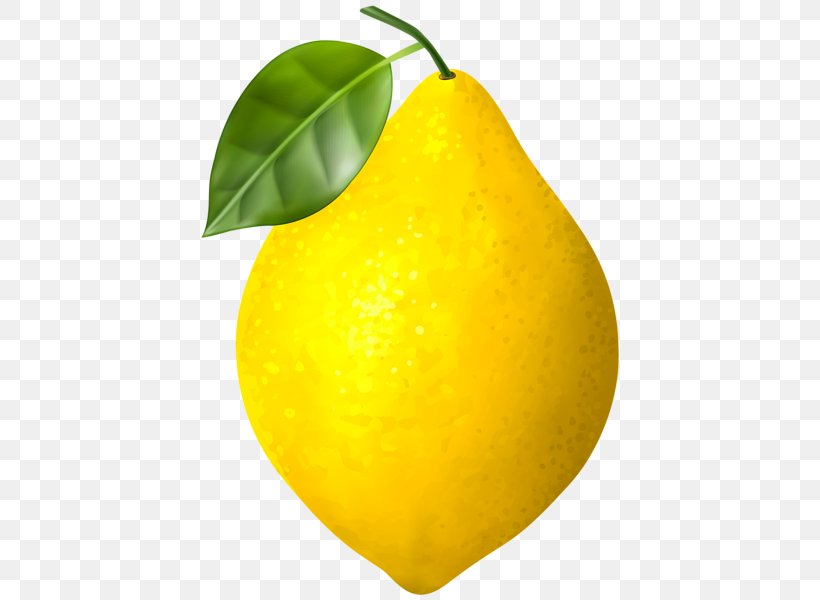 Pear Pear Fruit Yellow Tree, PNG, 428x600px, Pear, Citrus, Food, Fruit, Lemon Download Free