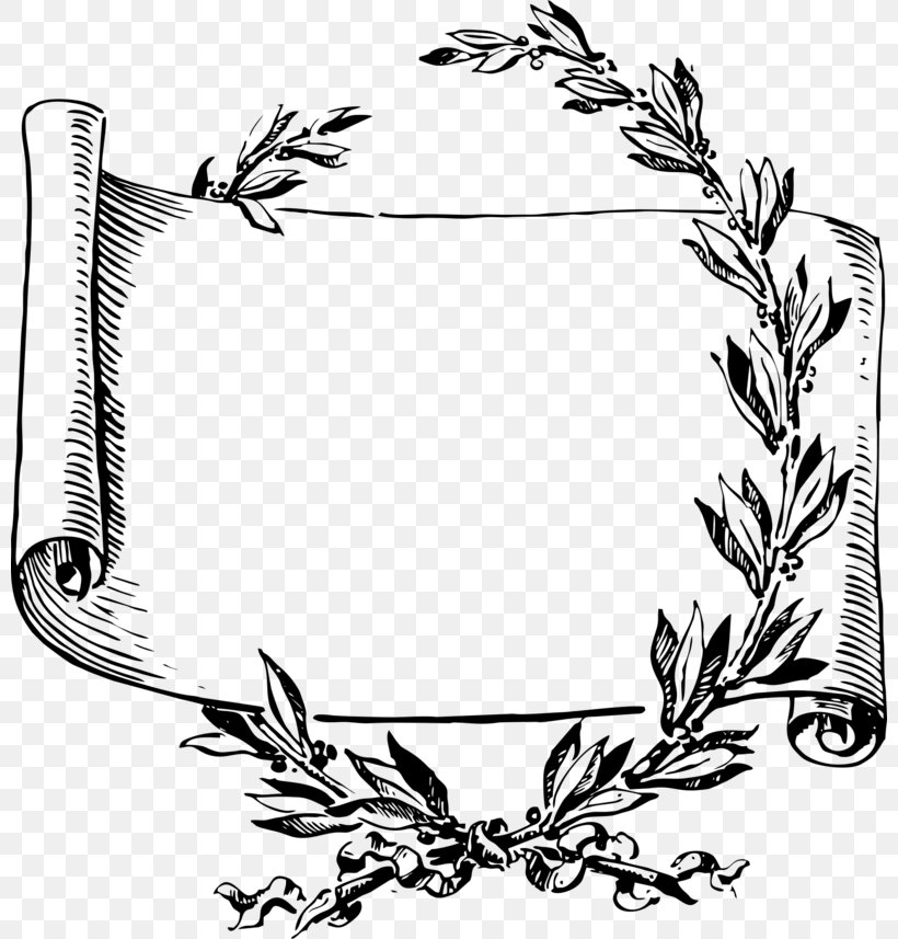 Scroll Clip Art, PNG, 800x857px, Scroll, Artwork, Black And White, Branch, Drawing Download Free
