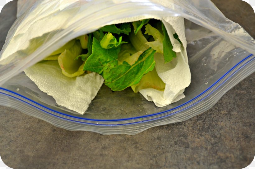 Wrap Leaf Vegetable Romaine Lettuce, PNG, 3318x2212px, Wrap, Bag, Finger Food, Food, Kitchen Download Free