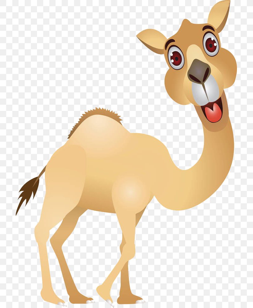 Camel Cartoon Royalty-free Clip Art, PNG, 717x1000px, Camel, Arabian Camel, Camel Like Mammal, Cartoon, Drawing Download Free