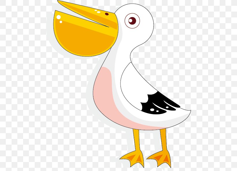 Duck Pelican Cartoon Illustration, PNG, 502x591px, Duck, Art, Beak, Bird, Cartoon Download Free