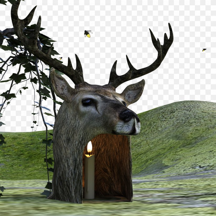 Elk Reindeer Game White-tailed Deer, PNG, 2000x2000px, 3d Computer Graphics, Elk, Antler, Deer, Fallow Deer Download Free