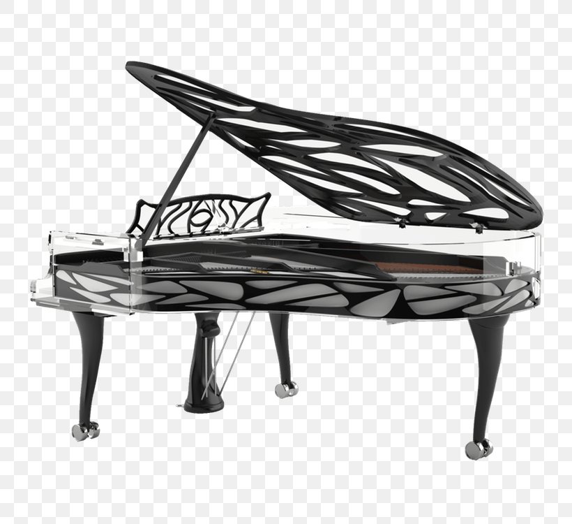 Grand Piano Bluthner Wilhelm Schimmel Euro Pianos Naples Png 750x750px Watercolor Cartoon Flower Frame Heart Download