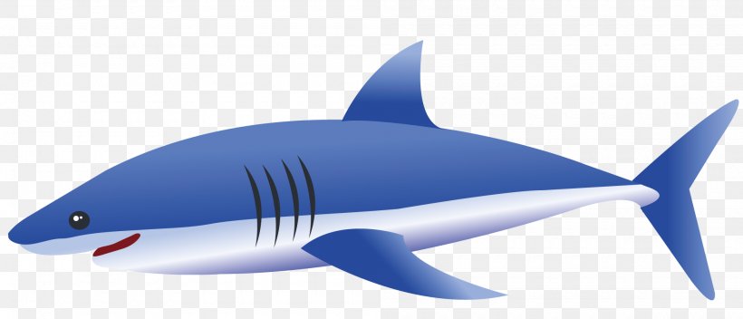 Tiger Shark Fin Blue Shark, PNG, 2000x860px, Tiger Shark, Animal, Blue Shark, Cartilaginous Fish, Deep Blue Sea Download Free