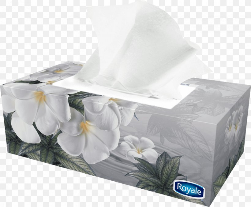 Toilet Paper Facial Tissues Kleenex Tissue Paper, PNG, 969x801px, Paper, Box, Cloth Napkins, Face, Facial Download Free