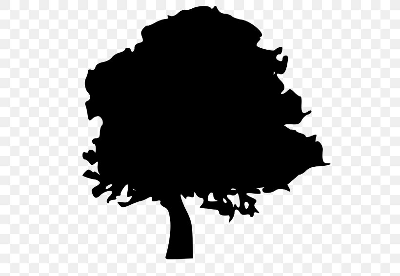 Tree Silhouette Northern Red Oak Clip Art, PNG, 558x566px, Tree, Acorn, Black, Black And White, Branch Download Free