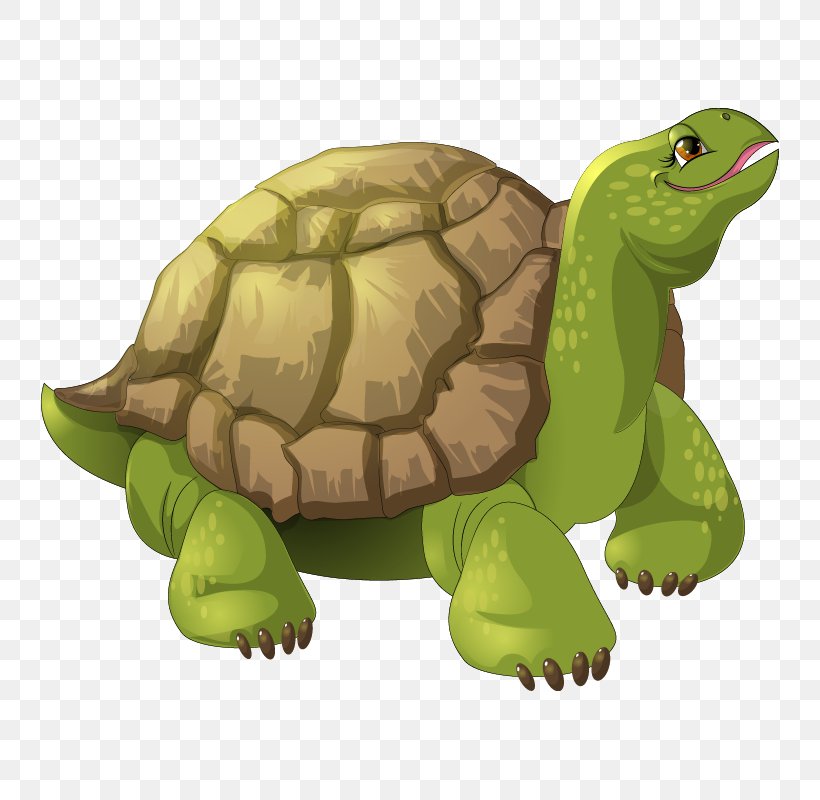 Turtle Stock Photography Royalty-free Image Illustration, PNG, 800x800px, Turtle, Animal Figure, Animated Cartoon, Box Turtle, Cartoon Download Free