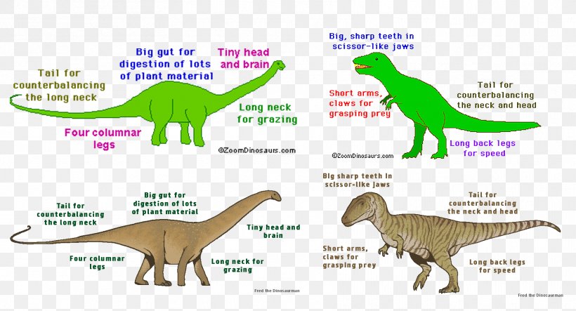 Velociraptor Tyrannosaurus Triceratops Allosaurus Apatosaurus, PNG, 1768x957px, Velociraptor, Allosaurus, Animal Figure, Ankylosaurus, Apatosaurus Download Free