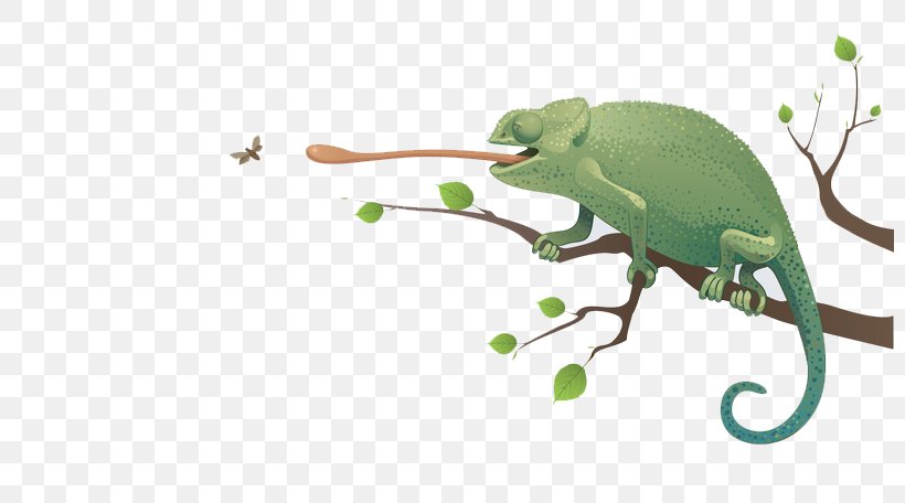 Chameleons Lizard Clip Art, PNG, 800x456px, Chameleons, Amphibian, Animal, Cartoon, Common Chameleon Download Free