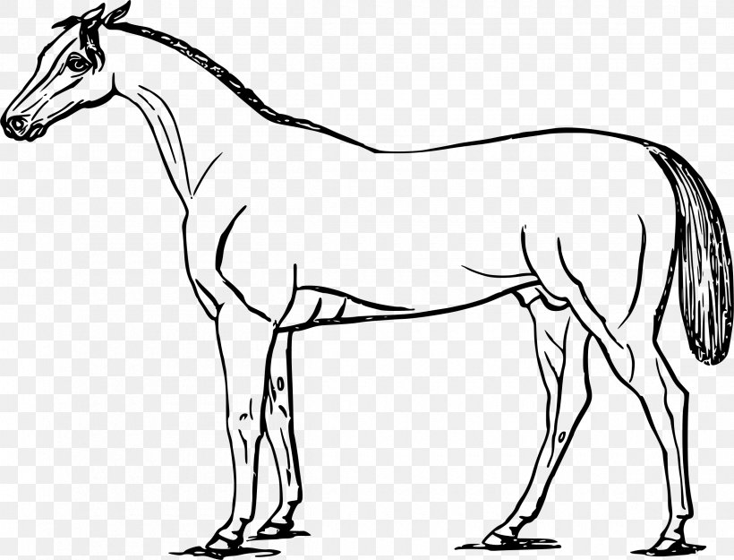 Mustang Mule Foal Colt, PNG, 2400x1830px, Mustang, Animal Figure, Artwork, Bit, Black And White Download Free