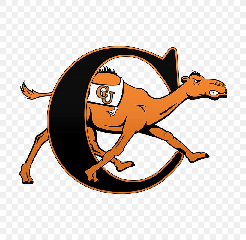 Campbell University Campbell Fighting Camels Men's Basketball Campbell Fighting Camels Women's Basketball Campbell Fighting Camels Football Longwood University, PNG, 800x800px, Campbell University, Area, Basketball, Big South Conference, Buies Creek Download Free