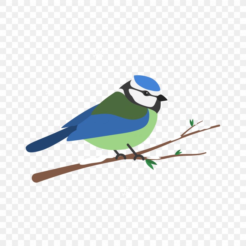 Bird Blue Jay Parrot Image, PNG, 2000x2000px, Bird, Beak, Blue Jay, Branch, Cartoon Download Free