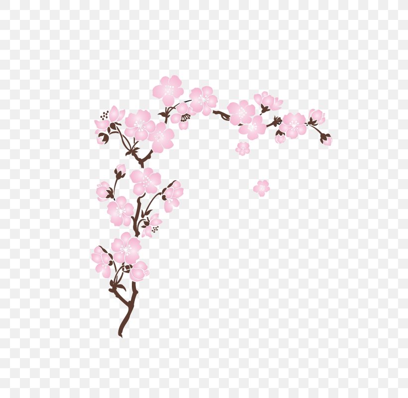 Cherry Blossom Wall Decal Cerasus, PNG, 800x800px, Cherry Blossom, Blossom, Branch, Cerasus, Cherry Download Free