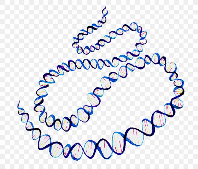 ENCODE Human Genome Project DNA Nucleic Acid Double Helix, PNG, 940x804px, Encode, Area, Blue, Body Jewelry, Dna Download Free