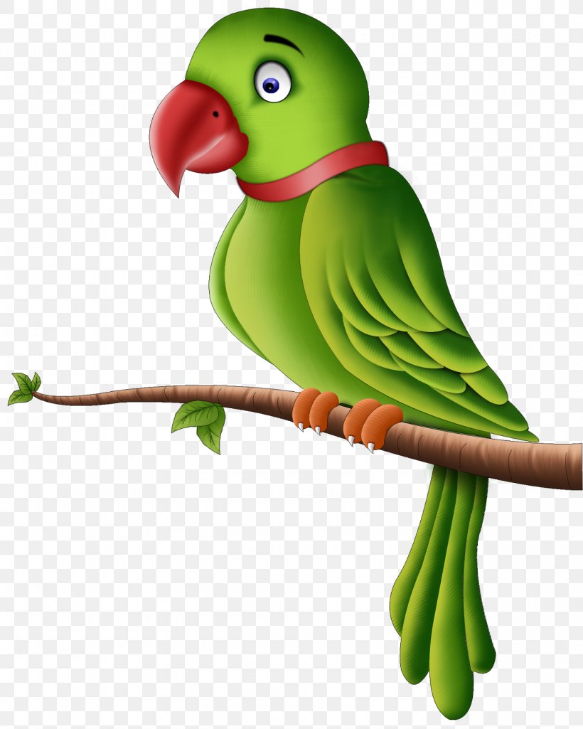 wallpaper of green parrot