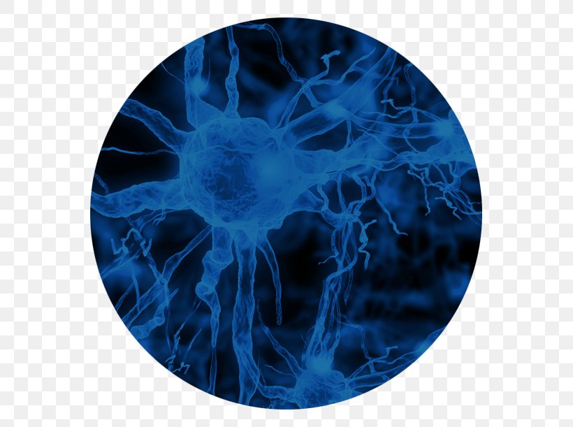 Peripheral Neuropathy Brain Neuropathic Pain Medicine Nerve, PNG, 586x611px, Peripheral Neuropathy, Blue, Brain, Brain Damage, Diabetes Mellitus Download Free