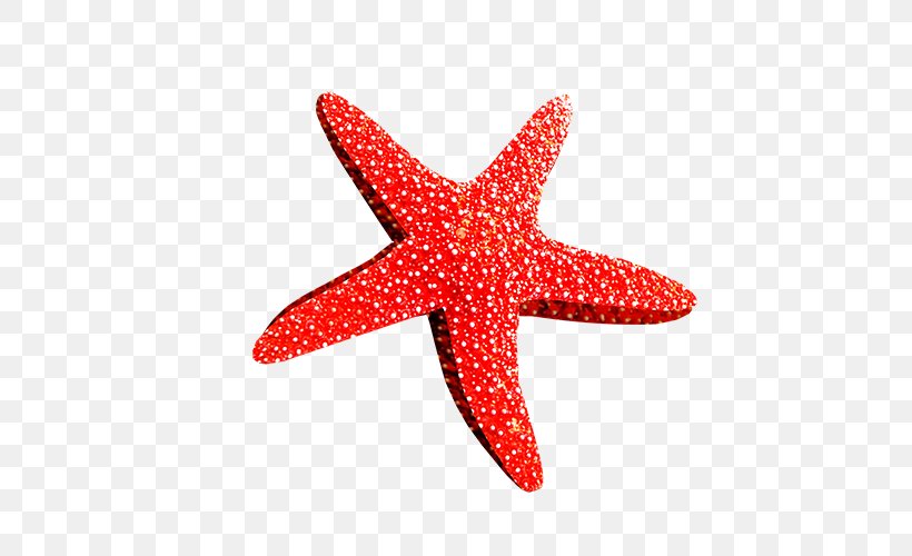 Starfish Sea Clip Art, PNG, 500x500px, Starfish, Basket Star, Brittle Star, Echinoderm, Invertebrate Download Free