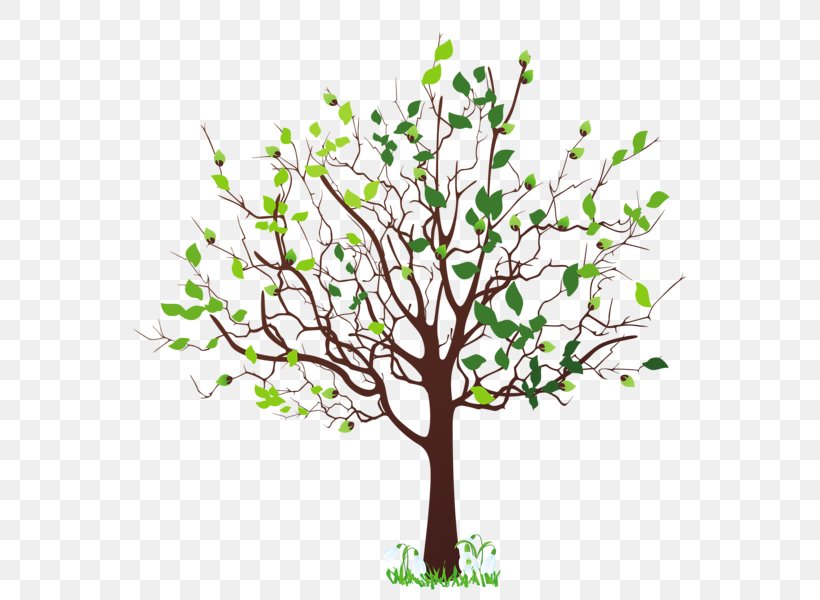 Tree Clip Art, PNG, 586x600px, Tree, Blog, Blossom, Branch, Flower Download Free