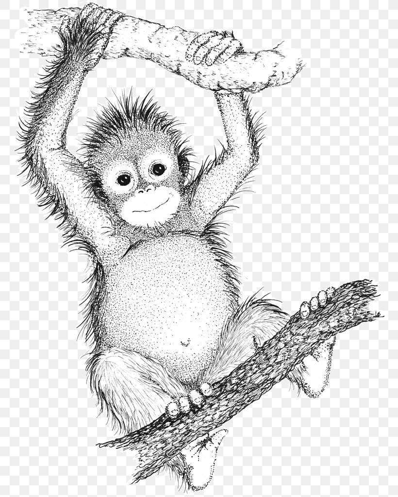 Ape Drawing Bornean Orangutan Gorilla Sumatran Orangutan, PNG ...