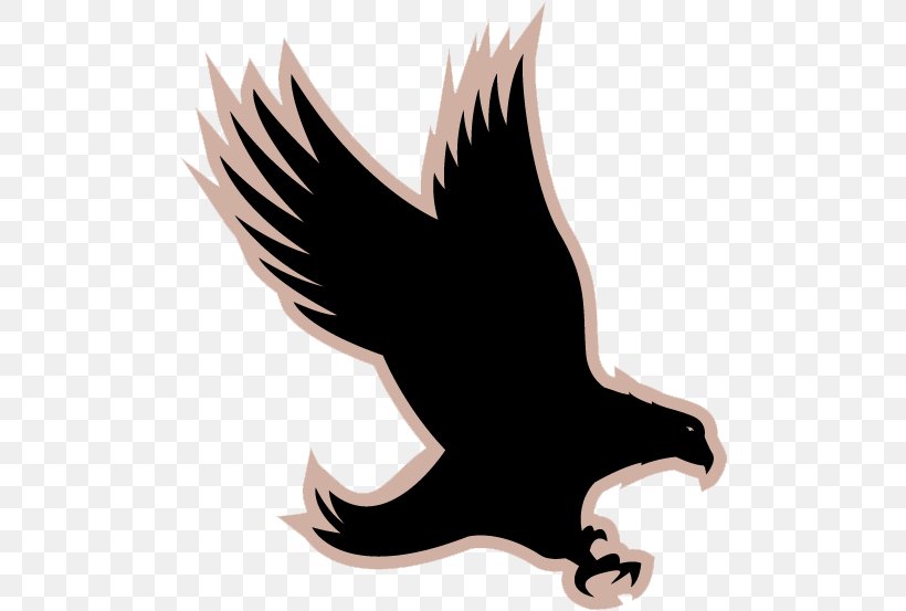 Eagle Hawkeye Jamaica Silhouette Graphics, PNG, 496x553px, Eagle, Animal, Beak, Bird, Bird Of Prey Download Free