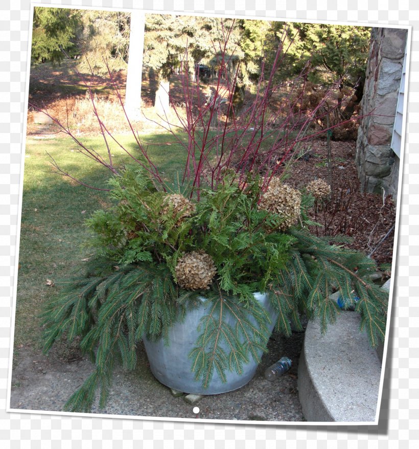 Tree Flowerpot Landscape Houseplant, PNG, 1494x1600px, Tree, Evergreen, Flora, Flower, Flowerpot Download Free