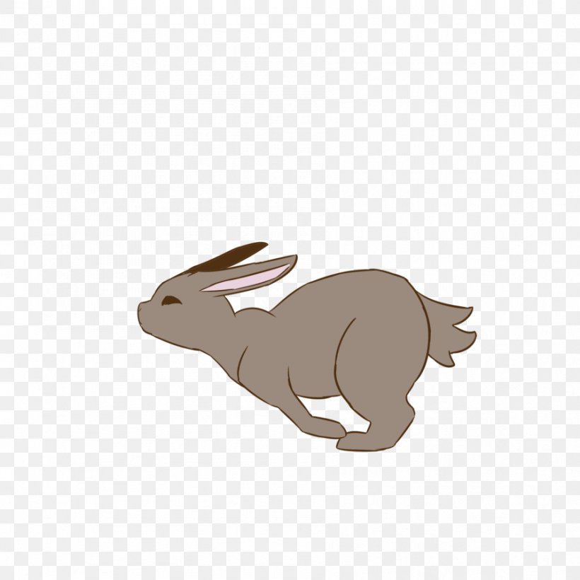Domestic Rabbit Hare Walk Cycle Easter Bunny, PNG, 894x894px, Rabbit, Animal, Animation, Carnivoran, Deviantart Download Free